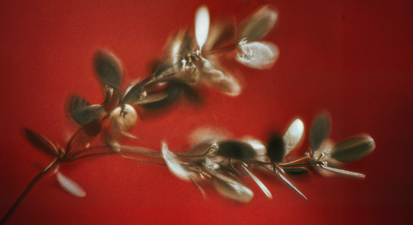 Holiday Sex Tips: How to Keep the Magic (and the Mood) Alive This Season