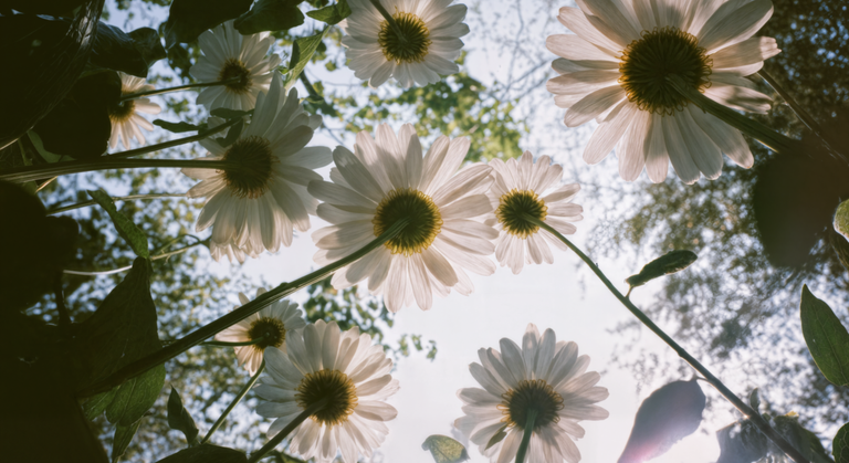 5 Sexual Questions Your Partner Wishes You Asked