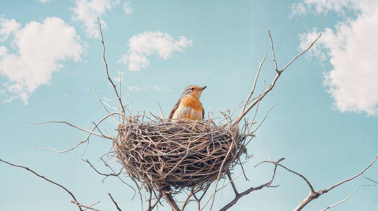 benefits of morning sex