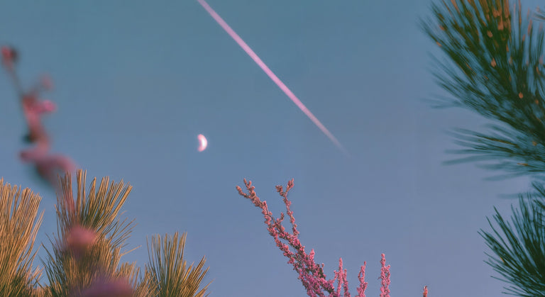 10 Questions Doctors Wished You’d Ask About Sex