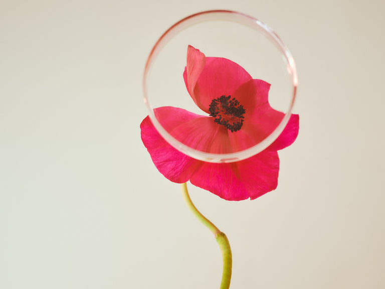 Lubes, Oils and Pleasure Serum