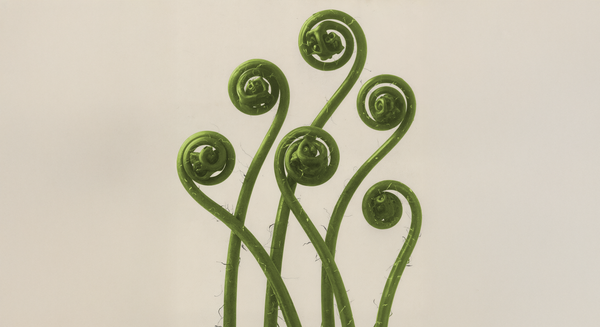 What Is Sexual Biohacking and How Does It Work?