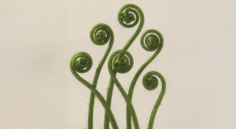 What Is Sexual Biohacking and How Does It Work?