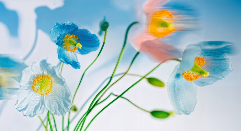 Do Topical Viagra Creams Work?