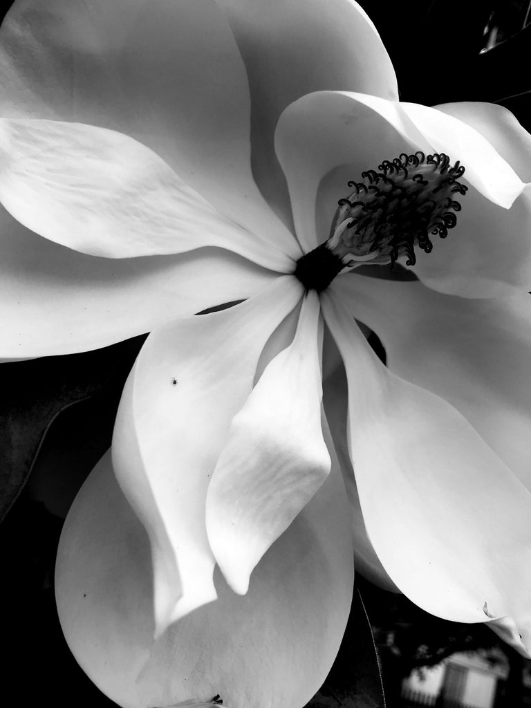 Genitourinary Syndrome of Menopause 101