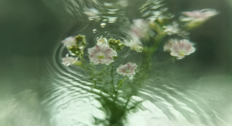 Sexual Side Effects of SSRIs: Why Antidepressants Knock Your Sex Drive