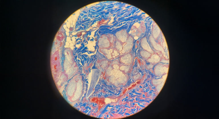 How Sex Impacts Vaginal Health