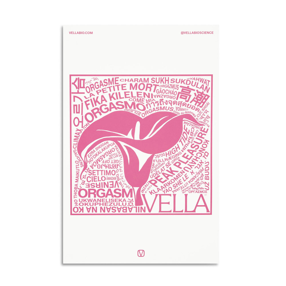 The Orgasm Poster